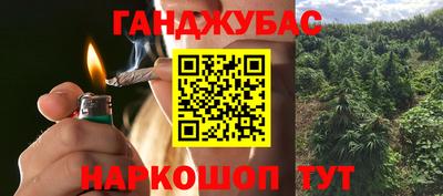 гидра Гагарин