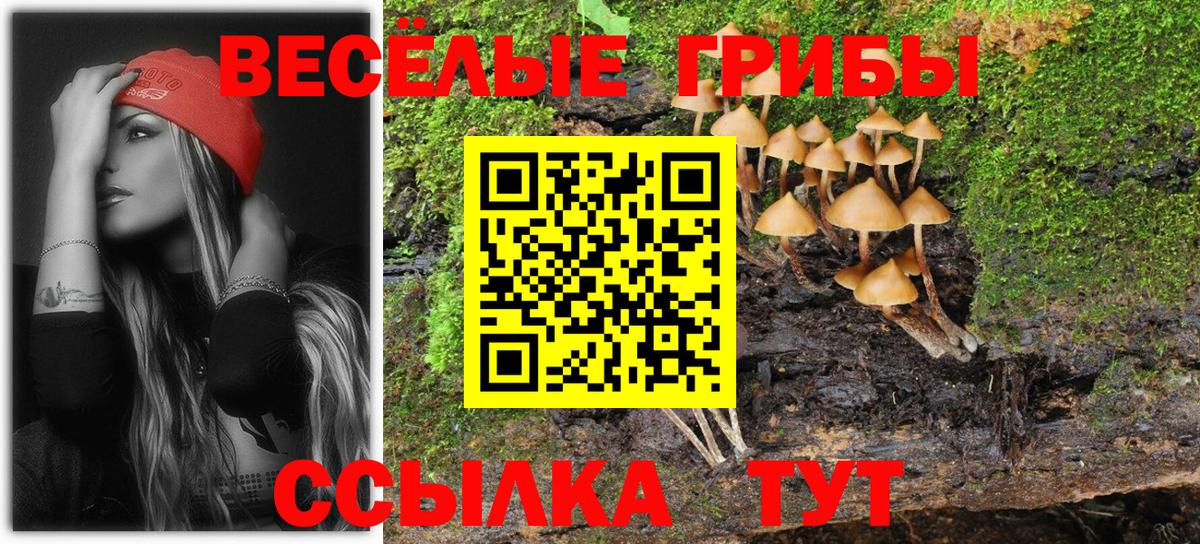 Псилоцибиновые грибы мицелий  Вход с VPN  Богородск 